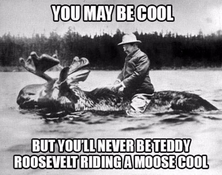 Teddy Roosevelt riding a moose = epitome of cool.